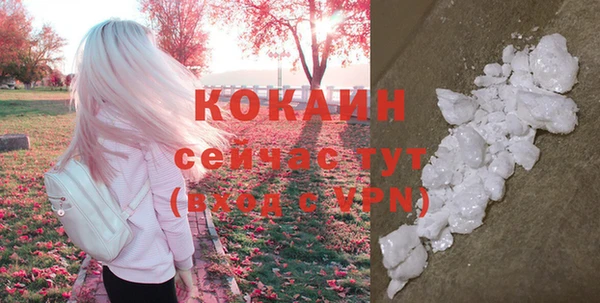 тгк Михайловск
