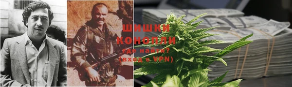 тгк Михайловск