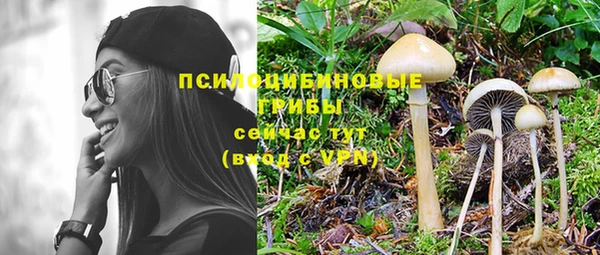тгк Михайловск