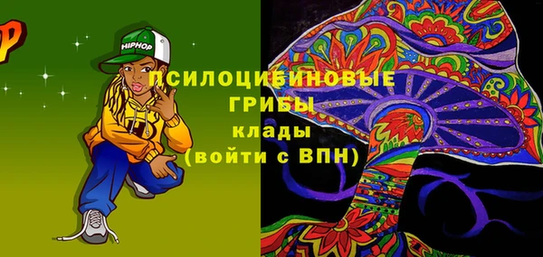 тгк Михайловск