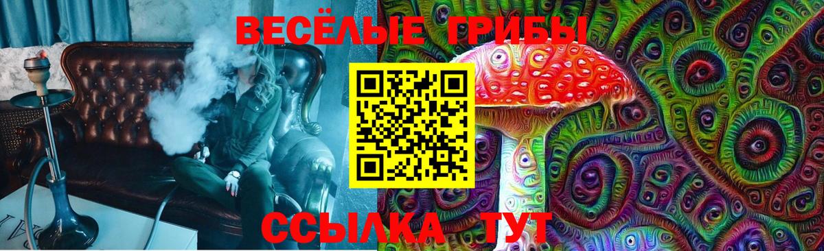 Нижний Новгород  Галлюциногенные грибы мицелий  Вход с VPN 